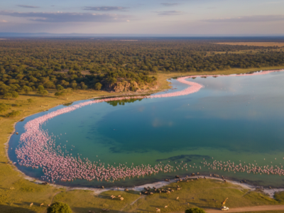 Lake Nakuru National Park Kenya